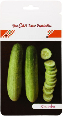 CYBEXIS Long Cucumber Hybrid Seeds 2000 Seeds Seed(2000 per packet)