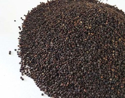 CYBEXIS Jakhya (Jakhia) Culinary Seeds 800 Seeds Seed(800 per packet)