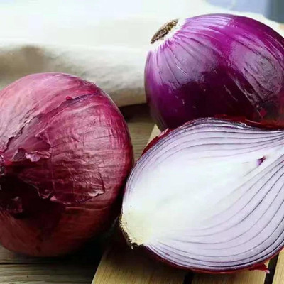 WILLVINE VNR -III Red Candy Apple Onion Seed [2.5g] Seed(1500 per packet)