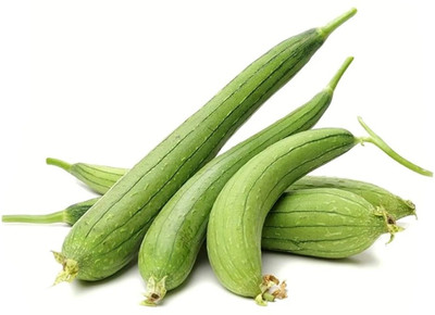 UGRA Sponge Gourd(Turai) Seed(120 per packet)