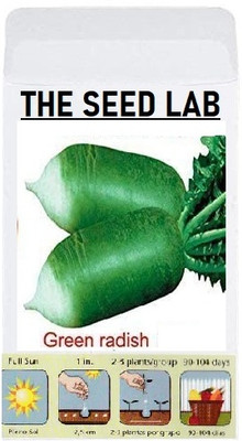 KNESSiN LXI-41 Green Radish Seed(200 per packet)