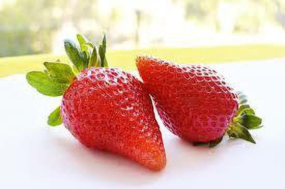 XOLDAA F1 HYBRID best quality strawberry fruit seeds Seed(31 per packet)