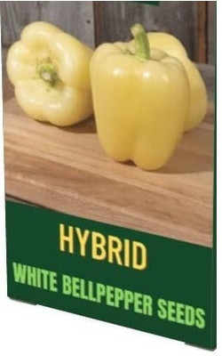 Qualtivate PUA-2A Imported Capsicum White Ivory Seeds Seed(100 per packet)