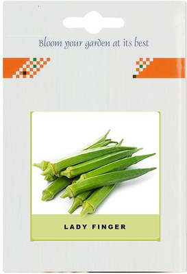 CYBEXIS Okra/Lady Finger1600 Seeds Seed(1600 per packet)