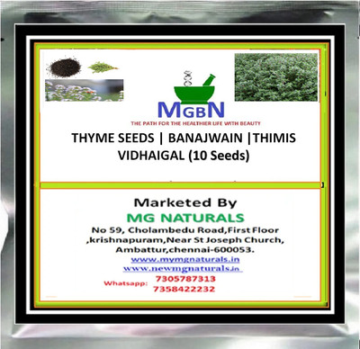 MGBN Thyme | Banajwain |Thimis Vidhaigal Seed(10 per packet)