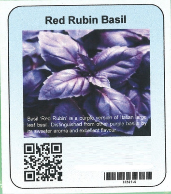 Qualtivate KGF -85 Red Rubin Basil Seeds Seed(1000 per packet)