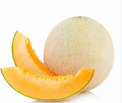 BDSresolve Muskmelon seeds for gardening PACK OF 19 Seed(19 per packet)