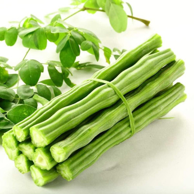 Qualtivate ICRA-7A DRUMSTICK/SAJNA/MORINGA-PKM3 Seed(50 per packet)