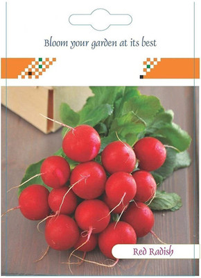 CYBEXIS Red Radish Hybrid Seeds600 Seeds Seed(600 per packet)