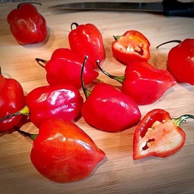 CYBEXIS High Yield Red Savina Habanero Hot Chili Pepper Seeds 2000 Seeds Seed(2000 per packet)