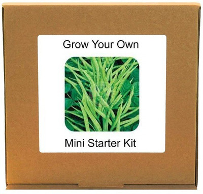 CYBEXIS Cluster Beans400 Seeds Seed(400 per packet)