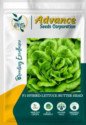 agri max gardens GREEN HARMONY F1 HYBRID LETTUCE SEEDS - BEST QUALITY Seed(1000 per packet)