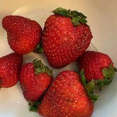 XOLDAA XOLDAA F1quality hybrid strawberry seeds Seed(30 per packet)