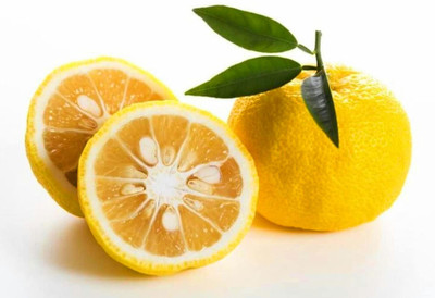 CRGO LEMON , NIMBU Seed(40 per packet)
