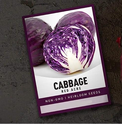 WILLVINE VNR -VII Red Acre Heirloom Cabbage Seeds [2.5g] Seed(750 per packet)