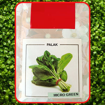 Qualtivate PUA-4A Palak or Spinach Vegetable Seeds Seed(300 per packet)