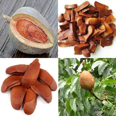 ibains Sky fruits seeds bij 21 Seed(21 per packet)