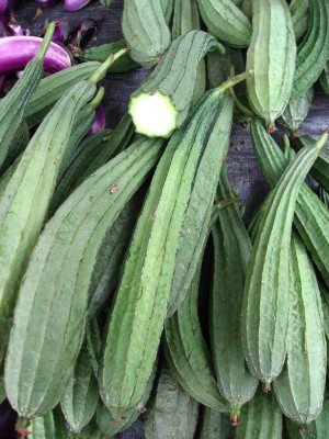 CYBEXIS GUA-49 - Ridge Gourd Turai - (300 Seeds) Seed(300 per packet)