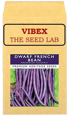 CYBEXIS Purple French Bean Hybrid Seeds200 Seeds Seed(200 per packet)