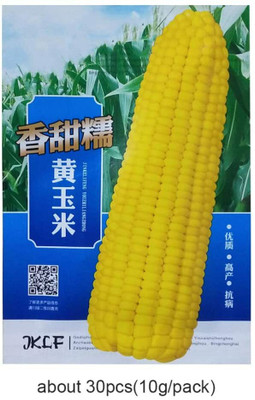 CYBEXIS Hybrid Sweetcorn Seeds2000 Seeds Seed(2000 per packet)
