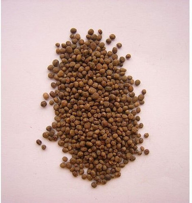 Pbevergreen Balsam rose Mix Flower Seed/balsam flower seeds 42 Seed(42 per packet)