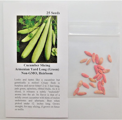 WILLVINE LXI-6 Long Melon kakri vegitable Seeds Seed(200 per packet)