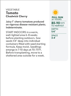 Quentova Chadwick Cherry Tomato 5gm Seeds Seed(2000 per packet)