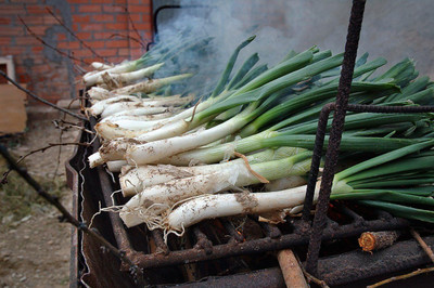WILLVINE VMR -VII Dae-Pa Korean Large Green Onion [100g] Seed(300 per packet)