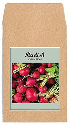 CYBEXIS Hybrid Vegetable Seeds-Radish Champion600 Seeds Seed(600 per packet)