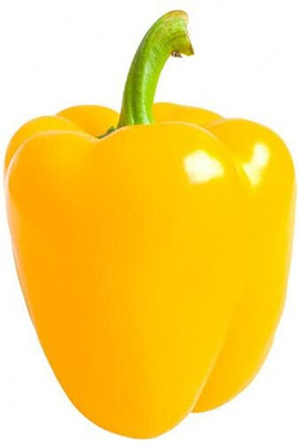 CYBEXIS LXI-5 - F1 Capsicum Yellow Hybrid - (450 Seeds) Seed(450 per packet)