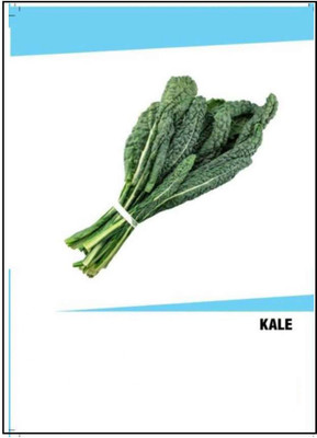 CYBEXIS Hybrid Kale Seeds(1000 Seeds) Seed(1000 per packet)