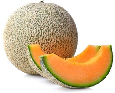 CYBEXIS TLX-7 - Musk Melon F1 Hybrid Super Kajri - (1350 Seeds) Seed(1350 per packet)