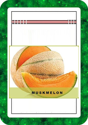 CYBEXIS Musk Melon200 Seeds Seed(200 per packet)