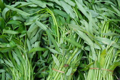 DEYS AGRO ™ hybrid water spinach|kalmi saag vegetable Seed(101 per packet)