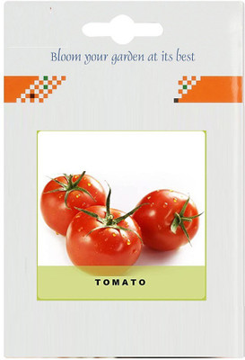 CYBEXIS Red Tomato2000 Seeds Seed(2000 per packet)