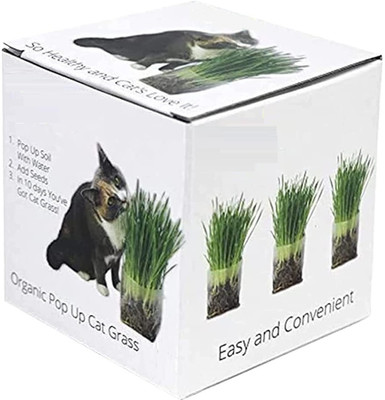 Qualtivate VVI-35 Pet/Cat Grass Seeds Seed(1000 per packet)