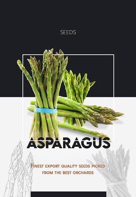 WILLVINE Imported Asparagus Hybrid Seeds-(400 Seeds) Seed(400 per packet)