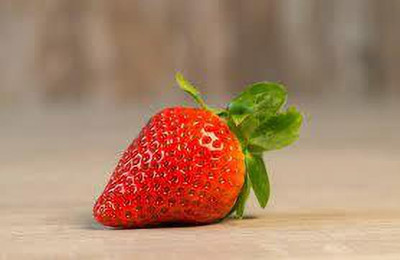 XOLDAA F1 best quality hybrid strawberry Seed(100 per packet)