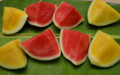 Qualtivate Fresh Sagar Watermelon F1 Hybrid Quality Seed(100 per packet)