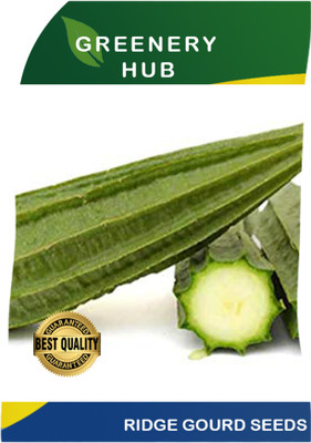 Greenery Hub Ridge Gourd Seeds - Grow Fresh and Healthy Vegetables at Home! Seed(100 per packet)