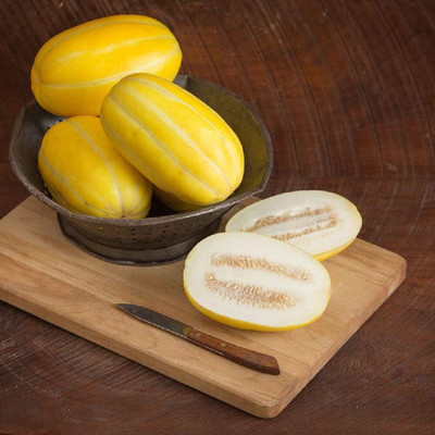 Qualtivate HUA-4A Musk Melon Torpedo 9938 (Yellow) Seed(200 per packet)