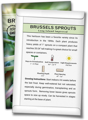 WILLVINE Long Island Improved Brussels Sprouts Seed(500 per packet)