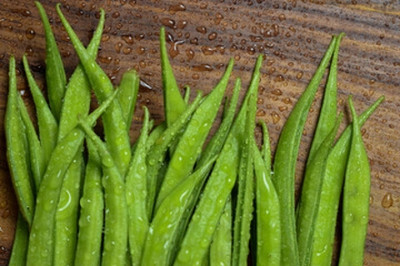 Oliver CLUSTER BEANS SEEDS Seed(55 per packet)