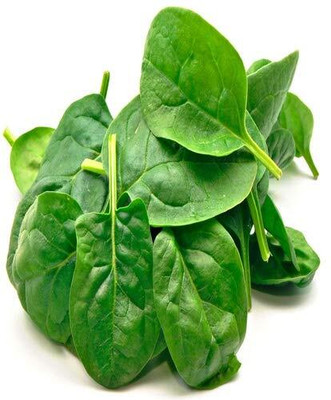 ActrovaX Organic Palak Indian Spinach [2gm Seeds] Seed(2 g)