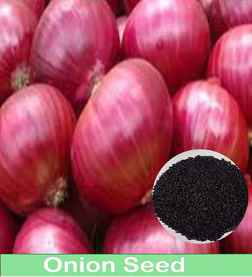 Biosnyg Organic Onion Agrifound Dark Red Vegetable Seeds For Gardening-(750 Seeds) Seed(750 per packet)