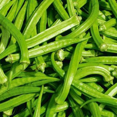 naturehils F1 Okra Seeds, Exotic Lady Finger Seeds,Bhindi Seeds, Okra Hybird Seed(40 per packet)