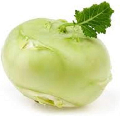 WILLVINE PUSA -IV Kholrabi/Knolkhol Konan Hybrid F1 Hybrid [2.5g] Seed(750 per packet)