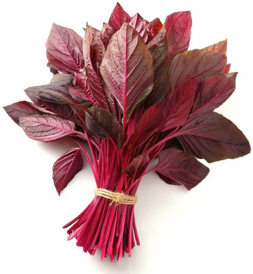 DEYS AGRO ™ lal sag|red amaranthus|red spinach seeds,high yield Seed(100 per packet)