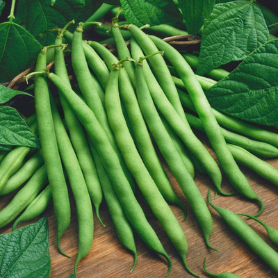 BDSresolve dal seeds/beans seeds 32 Seed(43 per packet)