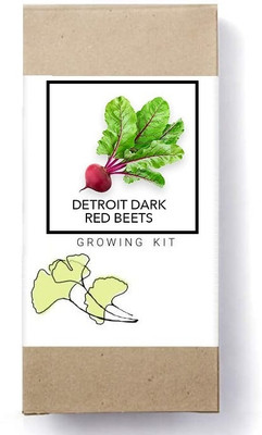 Biosnyg Detroit Dark Red Beetroot Seed(1000 per packet)